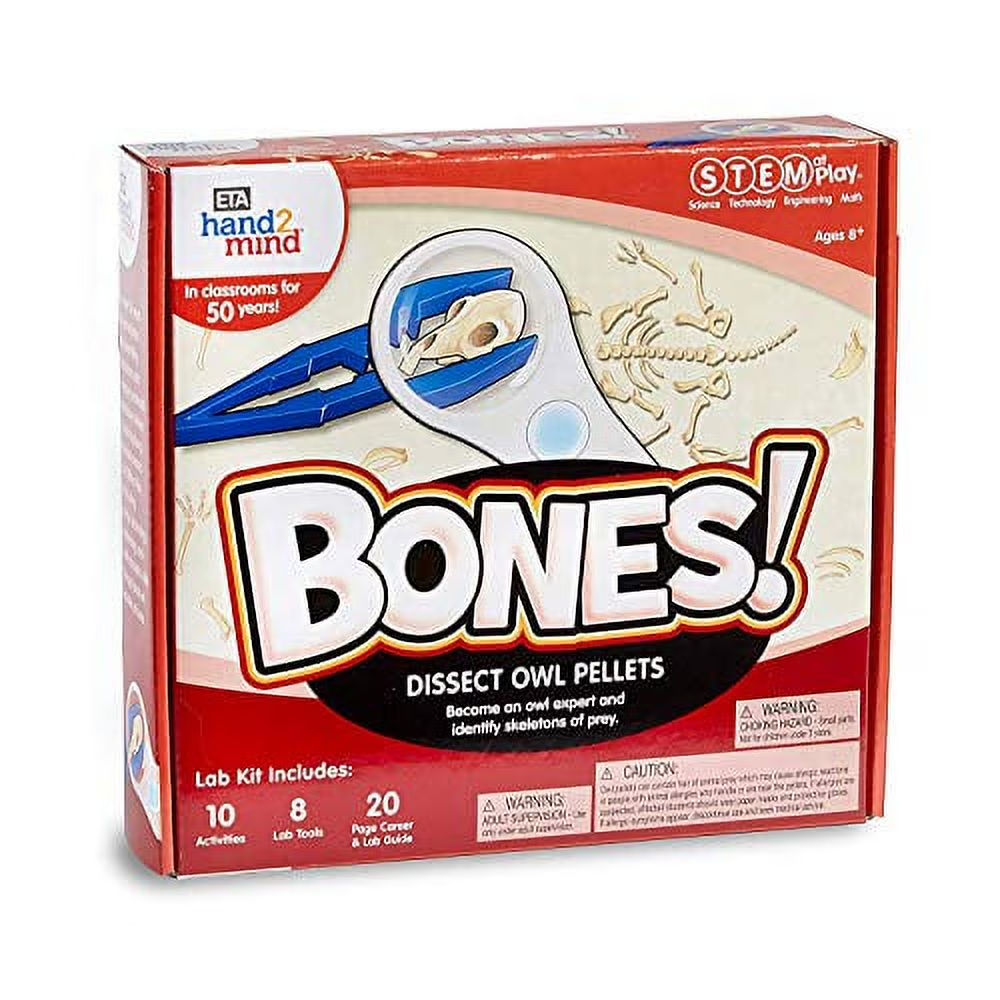 STEM at Play BONES! Educational Toys Science Models &amp; Kits 0.55 Lb